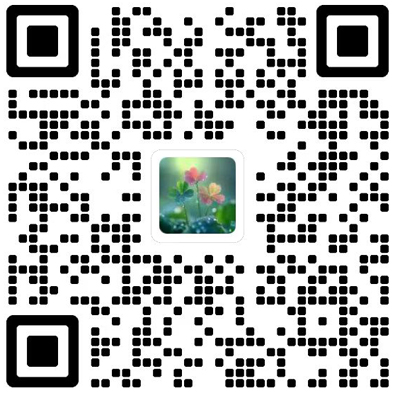 Data Intelligence杂志模板